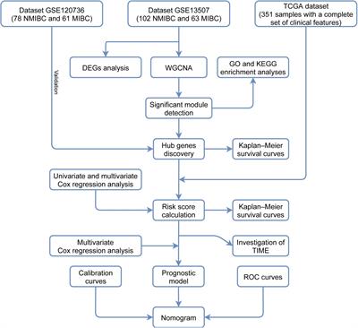 Identification of Signature Genes Associated With Invasiveness and the Construction of a Prognostic Model That Predicts the Overall Survival of Bladder Cancer